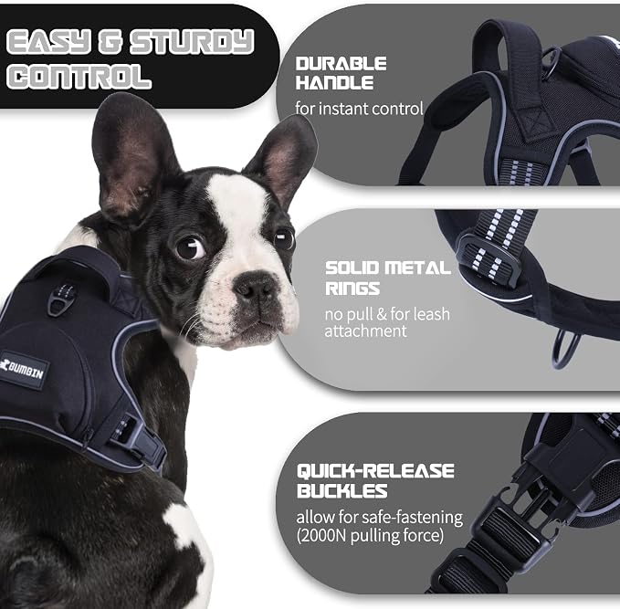 No Pull Dog Harness for Medium Dogs, Adjustable No Choke Pet Vest with Dog Leash Fit Smart Reflective Pet Walking Harness for Training Easy Control Soft Handle Black S - Image 3
