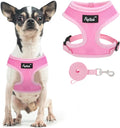 PUPTECK Small Dog Harness and Leash Set No Pull for XS XXS Sized Dogs Puppy | Escape Proof No Choke Pet Cat Adjustable Soft Padded Walking Vest by PUPTECK