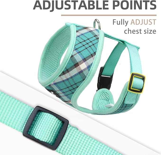 PUPTECK Small Dog Harness and Leash Set No Pull for XS XXS Sized Dogs Puppy | Escape Proof No Choke Pet Cat Adjustable Soft Padded Walking Vest - Image 3
