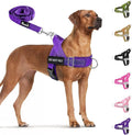 SlowTon No Pull Dog Harness with Front Clip - Heavy Duty, Soft Padded | Neck & Chest Adjustable, Tactical Pet Vest and Leash Set for Large Medium Sized Dogs, for Easy Walk & Training, Purple XL by SlowTon