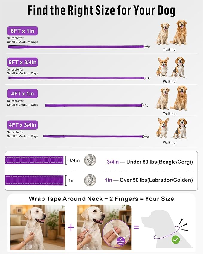 FunTags Reflective Nylon Dog Leash for Medium & Large Dogs, 6FT for Walks | Comfortable Padded Grip, Stay Safe at Night, 360° Anti-Tangle Swivel, for Dog Parks & Trails, Purple - Image 7