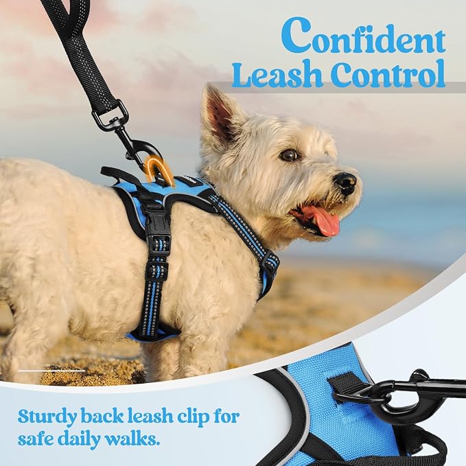 rabbitgoo Dog Harness, No Pull for Small Dogs with 2 Leash Clips, Pet Vest | No Choke with Handle, Adjustable Soft Padded, Reflective, Easy Control for Walking, Blue, X-Small - Image 6