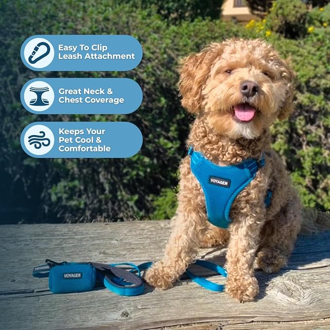 Best Pet Supplies Voyager Adjustable Step-in Flex Breathable Mesh Dog Harness for Small Medium Large Dogs Leash Set (Turquoise), M - Image 5