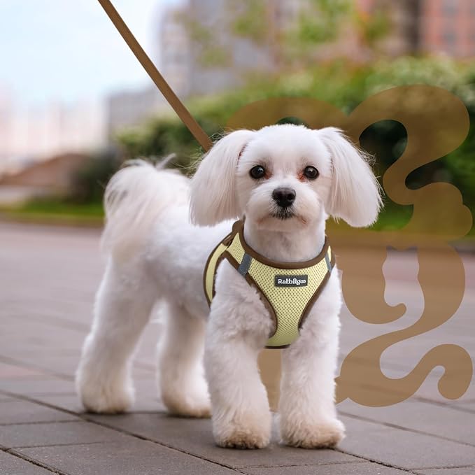 rabbitgoo Dog Harness Small Sized and Leash Set, Step in Soft Vest | Breathable Mesh, Easy Wear with Hook & Loop, Light and Reflective for Walking, Multi-colored, Beige & Coffee, XXS - Image 8