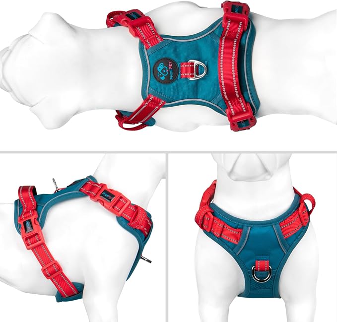 No Pull Dog Harness, Unique Colors Reflective Adjustable Dog Vest | with Soft Training Handle Metal Clips for Small Medium Large Dogs (Teal Base & Red Straps,M) - Image 2