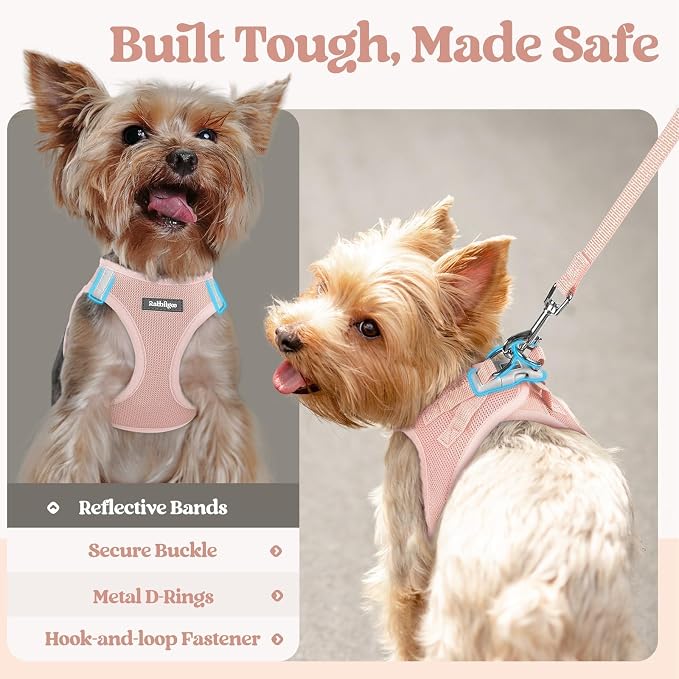 rabbitgoo Dog Harness Small Sized and Leash Set, Step-in Puppy Pet Vest | Light, Soft, Breathable Air Mesh, Easy on and Remove with Hook & Loop, Secure Reflective for Walking, Pink XXXS - Image 7