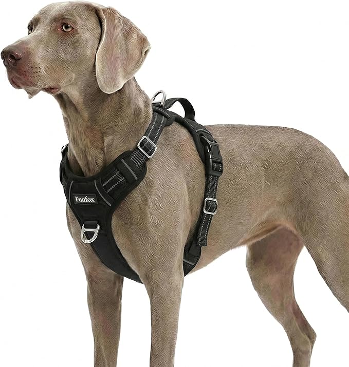 Dog Harness for X-Large Dog No Pull, Adjustable Pet Vest Harness, Vertical Handle Easy Control with 2 Leash Clips, Soft Material, Reflective Safe Night Walking for X-Large Size, Black, XL by MyFUNFOX