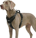 Dog Harness for X-Large Dog No Pull, Adjustable Pet Vest Harness, Vertical Handle Easy Control with 2 Leash Clips, Soft Material, Reflective Safe Night Walking for X-Large Size, Black, XL by MyFUNFOX