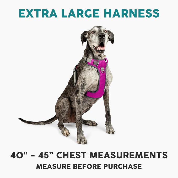 Embark No Pull Dog Harness, Reflective Adjustable Training Vest, No Choke | Adjustable straps fit all dog breeds with sturdy hooks; 360° reflective trim, soft padded Harness Design for All Dogs - Image 2