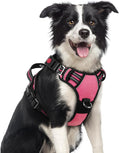 rabbitgoo Dog Harness Medium Sized, No Pull 3 Buckles Easy On & Off | Soft Padded, Walking with Control Handle, Adjustable and Reflective, Pink, Medium by rabbitgoo
