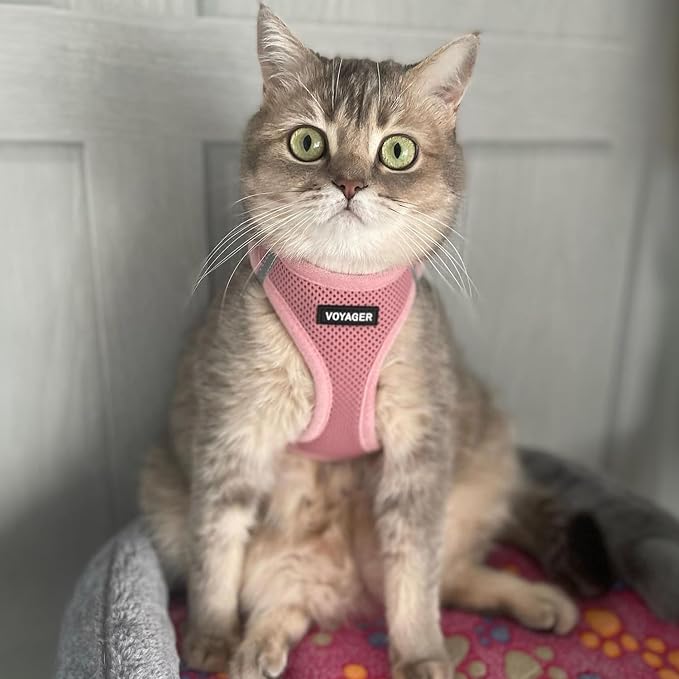 Voyager Step-in Air Cat Harness & Leash Set - Pink, XX-Small | 12 - 13.5" in Chest, Reflective Bands, All Weather Breathable Air Mesh, Cats Compatible, Fast Drying - Image 6