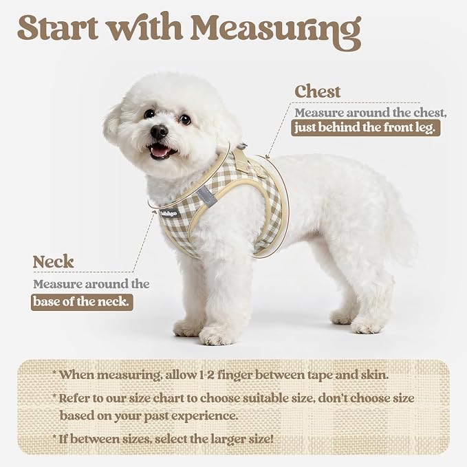 rabbitgoo Dog Harness Small Sized and Leash Set, Step-in Puppy Pet Vest | Light, Soft, Breathable Air Mesh, Easy on and Remove with Hook & Loop, Secure Reflective for Walking, Beige Check M - Image 2