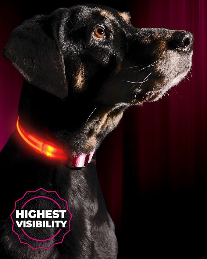 ILLUMISEEN LED Dog Collar USB Rechargeable - Bright & High Visibility Lighted Glow Collar for Pet Night Walking - Weatherproof, in 6 Colors & 6 Sizes (Pink X-Large) by Illumiseen