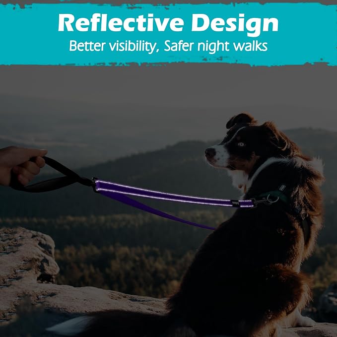 PetBonus Two Point Control Dog Leash, No Tangle Training Walking Leashes | Soft Padded Handle, Reflective, Works with No Pull Harnesses, Converts to Single Lead for Medium Large Dogs, Purple - Image 7