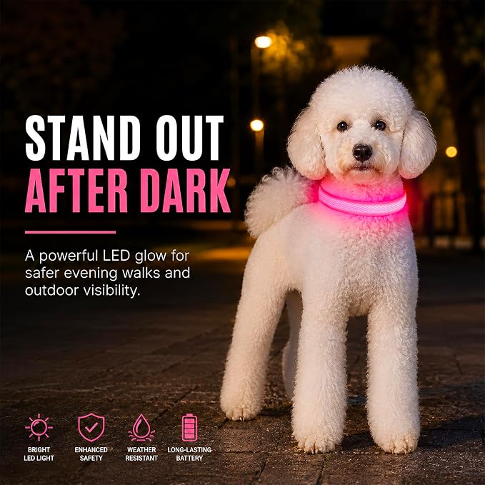 Multicolor LED Dog Collar USB-C Rechargeable, Light Up Dog Collar, Rainbow Gradient Glowing Dog Collar with 4 Light Modes, Adjustable Candy Mesh Pet Collar(Pink, Medium) - Image 9