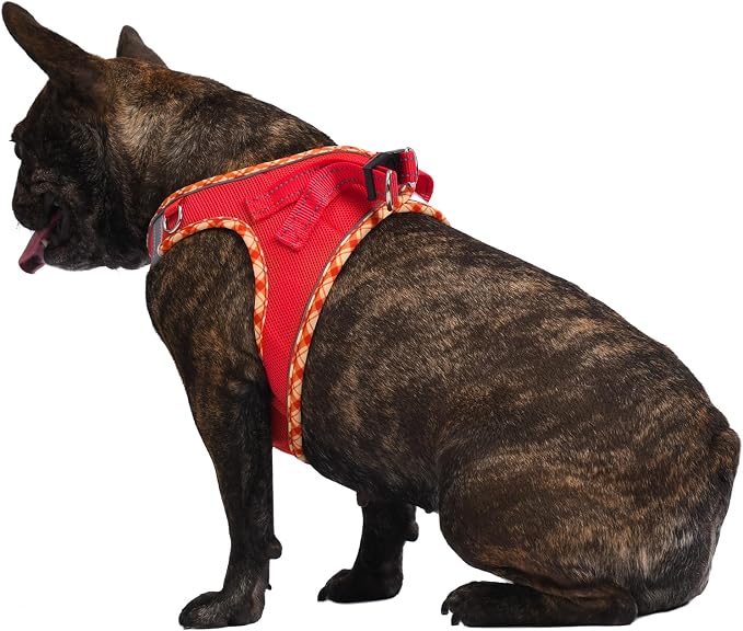 AMTOR Small Dog Harness with Leash Set, No Escape Easy Walk Puppy Harnesses for Training Walking, Step-in Reflective Soft Dogs Vest for XS S Medium Extra-Small Large Sized Dog(Red,XS) - Image 5