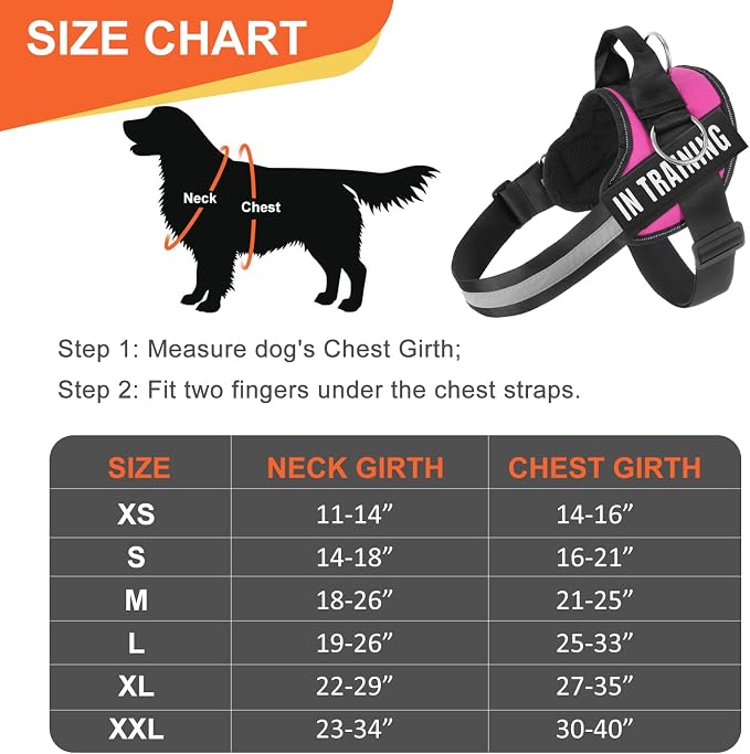 Essential Dog Harness, No Pull Pet Harness with 3 Side Rings for Leash Placement, No Choke, Reflective, Adjustable Pet Vest, Easy On-Off & Improved Control Handle, Training, Walking, Running - Image 3
