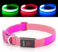 LED Dog Collar Light Up Dog Collars Red Light USB Rechargeable, Adjustable Size Heavy Duty TPU Nylon Webbing Glow Safety Basic Dog Collars for Large Medium Dogs (M,Candy Pink) by Bpawser