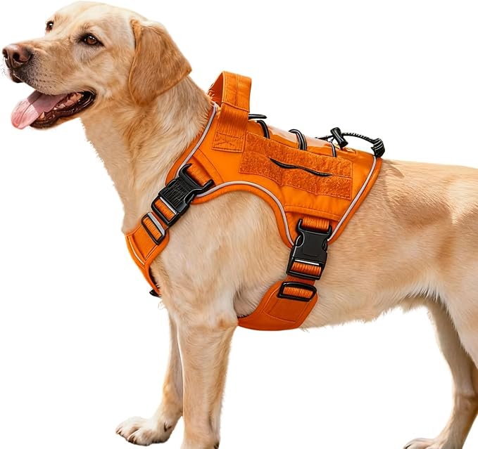 Heavy-Duty Tactical Dog Harness for Large Dogs, No Pull Adjustable Reflective Pet Vest with Molle System, K9 Military-Grade Control for Service Training, Outdoor & 10+ Breeds, Orange, Medium by Bruvoalon