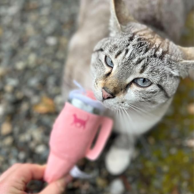PUPROAR Kitty Cup Catnip Cat Toy, Cat Birthday Gift & Cute Girly Accessory, Crinkle Toy for Indoor Cats (Pink Peach Dust) - Image 2