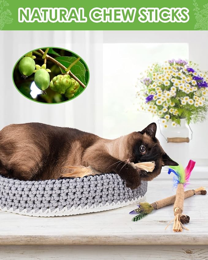 TINDTOP Silvervine Sticks for Cats with Natural Feather, Catnip Chew Toys | for Kittens Teeth Cleaning, Increase Appetite, Calm Cat Anxiety and Stress, Cat Dental Toy, 3 Pack - Image 5