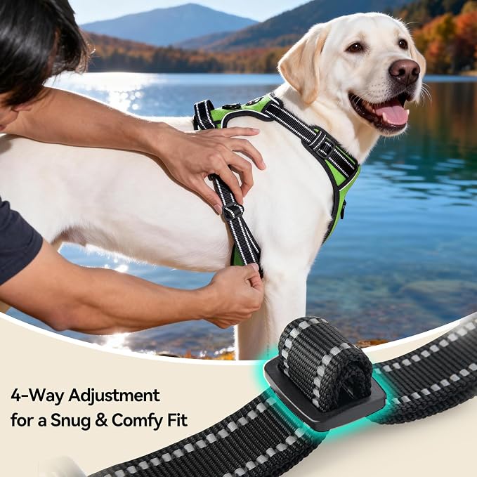 Reflective Dog Harness No Pull Large Breed Vest | with 2 Metal Leash Attachment Hooks(XL, Green) - Image 7