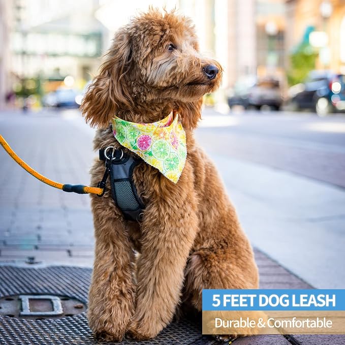 2/4/5/6 FT Dog Leash with Comfortable Padded Handle and Highly Reflective Threads for Small Medium and Large Dogs (6FT-1/2'', Orange) - Image 5