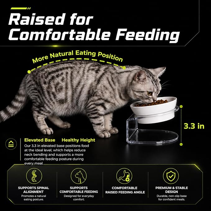LivLab Mker Raised Cat Bowl, 15° Tilted, 4.5 in High, White | 15° tilted shallow melamine bowl on a 4.5 in raised stand supports comfortable feeding and reduces whisker contact. - Image 5