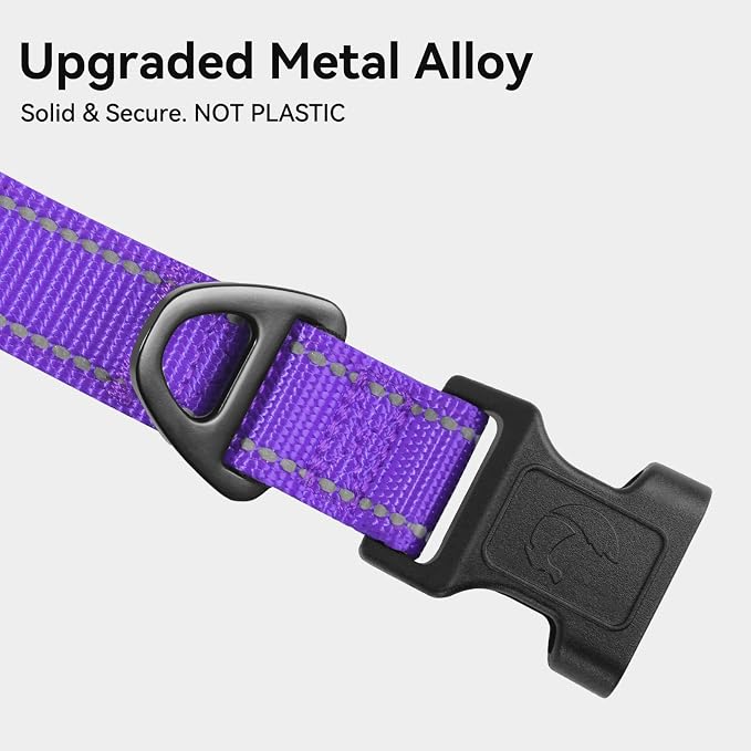 Joytale Reflective Dog Collar, Adjustable Neoprene Padded, Purple S | Breathable Nylon for Small Dogs, No Chafing on Daily Walks and Training, Gentle on Neck, Secure Metal D-Ring, Night Safety - Image 3