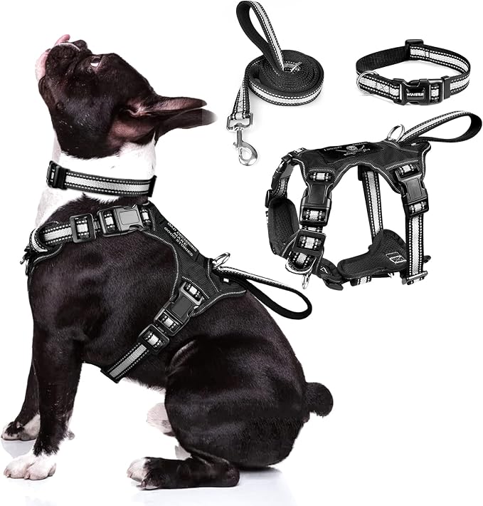 Pet Harness Collar and Leash Set, All-in-one Reflective Dog Harness No Pull with Adjustable Buckles for Puppies, Small, Medium, Large, and Extra-Large Dogs (Medium, Black) by WINSEE