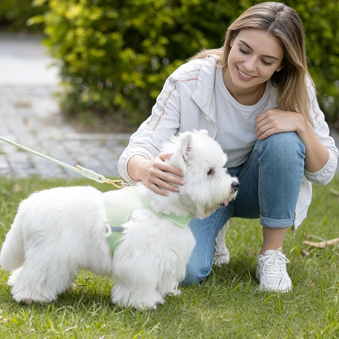 5FT Dog Leash 5/16 inch Puppy Cat Rope Lead | Light Green, with Anti-tangle Swivel Clip, Comfortable Non-slip Grip Handle, Ideal for Daily Walks, for Small Medium Dogs - Image 7