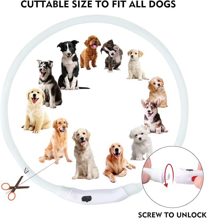 LED Dog Collar, Rechargeable RGB Color Changing Light Up Dog Collars, Waterproof Dog Lights Make Pet Visible and Safety for Night Walking，Outdoor, Camping, for Small Medium Large Dogs - Image 6