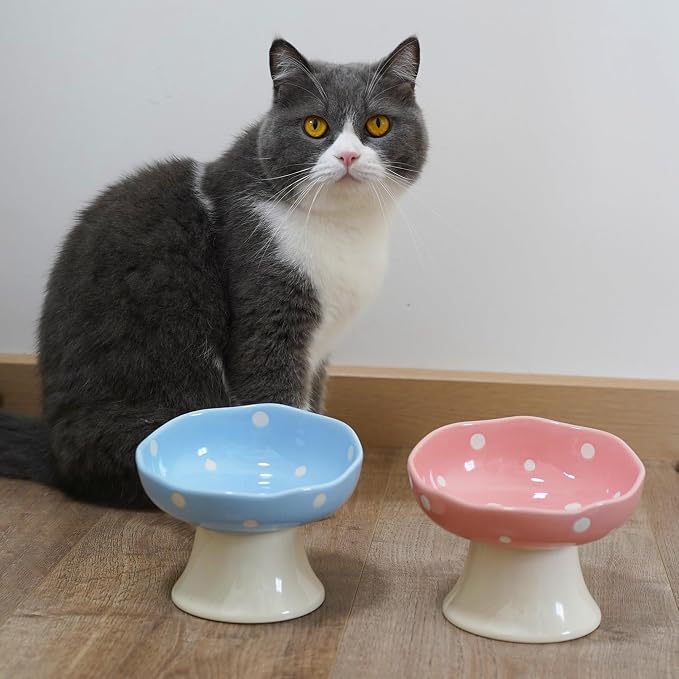 Pink Mushroom Cat Bowl, Elevated Ceramic Feeding Bowl | Elevated, Ceramic, Tilted Design, Whisker-Friendly, Dishwasher Safe, cute - Image 8