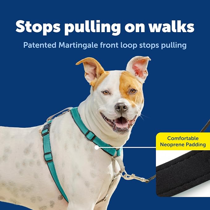 PetSafe 3 in 1 No-Pull Dog Harness - Walk, Train or Travel - Helps Prevent Pets from Pulling on Walks - Seatbelt Loop Doubles as Quick Access Handle - Reflective Accents - Medium, Teal | Rests on Chest Not Throat to Reduce Pulling, 5 Adjustment Points,... - Image 3
