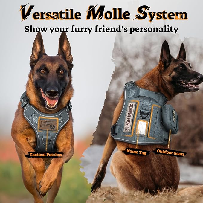 rabbitgoo Tactical Dog Harness for Small Dogs, No Pull Service Pet Vest | Military Molle System & Easy Control Handle, Adjustable and Reflective for Walking and Training, Grey, Small - Image 8