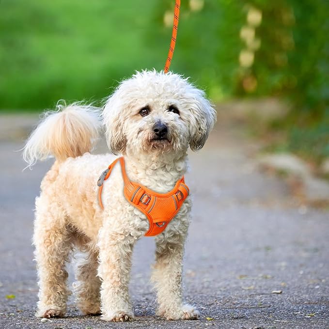 BARKBAY No Pull Dog Harness Large Reflective Dog Harness with Front Clip and Easy Control Handle for Walking Training Running with ID tag Pocket(Orange,S) - Image 9
