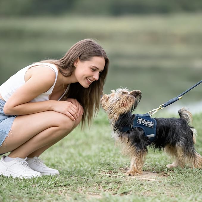 5FT Dog Leash 5/16 inch Puppy Cat Rope Lead | Prussian Blue, with Anti-tangle Swivel Clip, Comfortable Non-slip Grip Handle, Ideal for Daily Walks, for Small Medium Dogs - Image 7