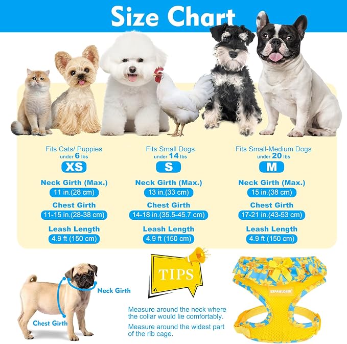 EXPAWLORER Step-in Dog Harness Small Sized and Leash Set | Cute Small Dog Harness No Pull Girl, Breathable Soft Mesh Padded, Adjustable Light Puppy Vest for Dogs Cats, Daffodil M - Image 2
