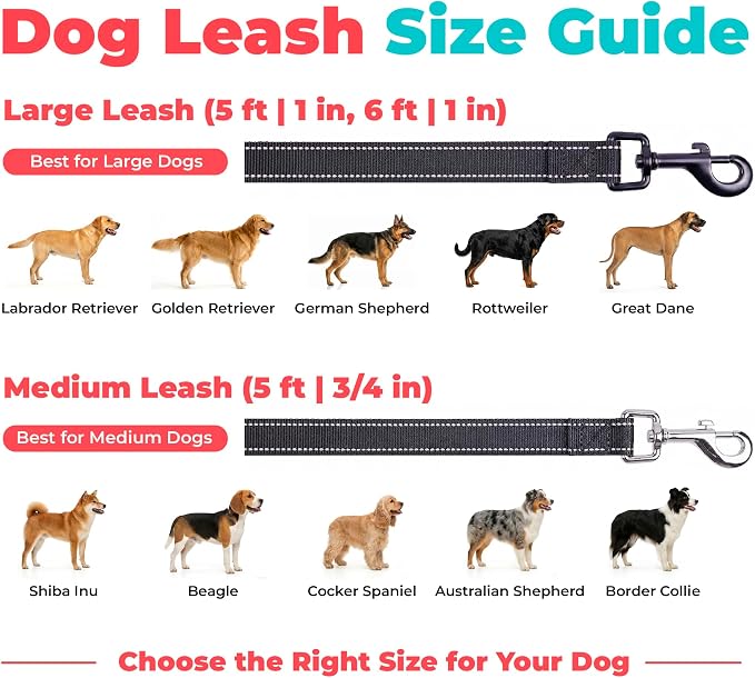 Best Pet Supplies Voyager Nylon Dog Leash - Black, Large | 5ft in Length, 1" in Width, Reflective, Soft Neoprene Handle, Heavy Duty Metal Clips for Running, Walking & Training - Image 6