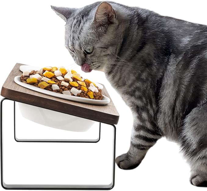 Sunhoo Ceramic Elevated Cat Bowls Raised Puppy Dishes for Food and Water Tilted Wooden Stand for Indoor Cats 5.5 inch Wide Double Dish Orthopedic Reduces Vomiting (Brown) by Sunhoo
