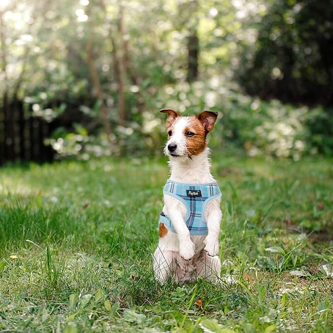 PUPTECK Small Dog Harness and Leash Set No Pull for XS XXS Sized Dogs Puppy | Escape Proof No Choke Pet Cat Adjustable Soft Padded Walking Vest - Image 7