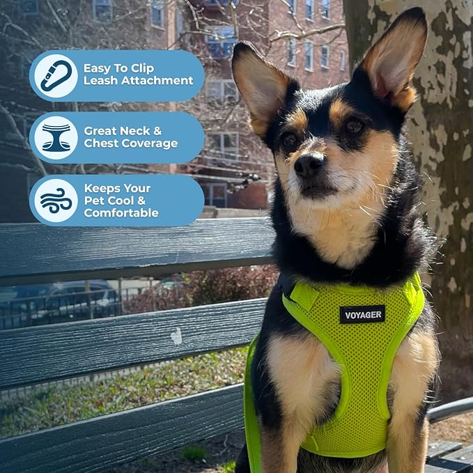 Voyager Step-in Lock Dog Harness - Lime Green, Medium | 17 - 21" in Chest, Adjustable, Breathable Air Mesh, Lightweight for Daily Walks, Strong Clips, Heavy Duty D-Ring - Image 3