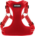 Voyager Step-in Flex Adjustable Dog Harness - Red, X-Small | 13 - 16" in Chest, Fully Adjustable, Reflective Bands, All Weather Breathable Air Mesh, Lightweight, Fast Drying by BestPetSuppliesLLC
