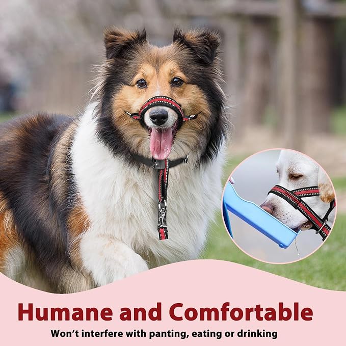 BARKLESS Soft Dog Head Collar, Patented Padded No Pull Head Halter, Training Nose Leash with Safety Link for Medium Large Dogs, Adjustable Muzzle Leash, Easy Control for Walking (XL, Red) - Image 7