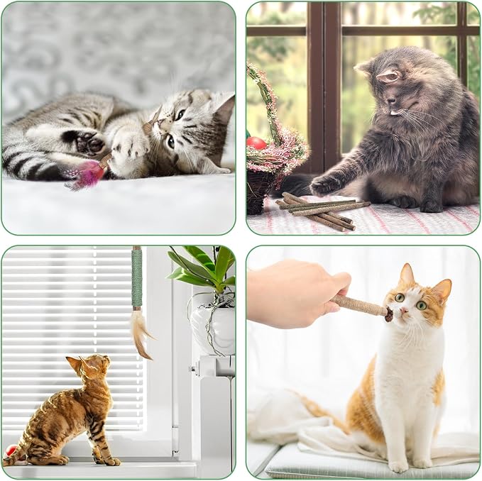 Bissap 16 PCS Silvervine Chew Sticks for Cats, Catnip Chew Sticks Cat Toys for Indoor Cat Kitten Teeth Grinding Interactive Feather Toys for Aggressive Chewers Dental Care - Image 7