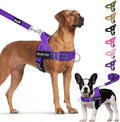 Lukovee No Pull Dog Harness and Leash Set, Soft Padded Vest with Front Clip | Adjustable, No Choke, Reflective,Durable Easy Control Pet Vest Harness for Safe Walking for Medium Large Dogs (Purple, M) by Lukovee