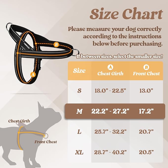 rabbitgoo Dog Harness No Pull, Quick Fit for Medium Sized Dog, Reflective | Chest Adjustable Pet Vest with Soft Padded Handle, No Choke Escape Proof for Walking Training, Black M - Image 2