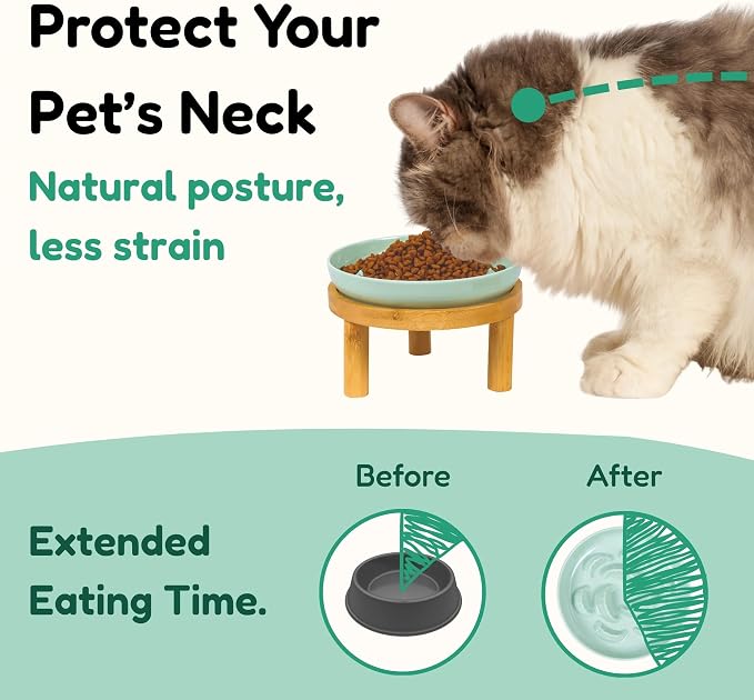 Slow Feeder Bowl, 6.3″ Elevated Cat Bowl with Stand, Melamine Wide Shallow Food Bowl, Whisker-Friendly Raised Plate, Wet Food Feeder for Slow Eating (Green) - Image 2