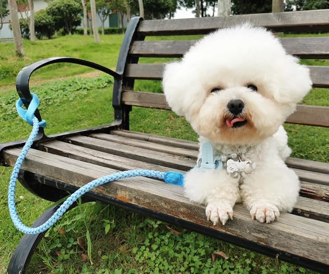 Reflective Dog Leash 2/3/4/6/10ft Braided 1/2" Strong Nylon Rope | 6FT Skyblue Dog Leash for Large Medium Small Dogs Walking Training Leads - Image 8