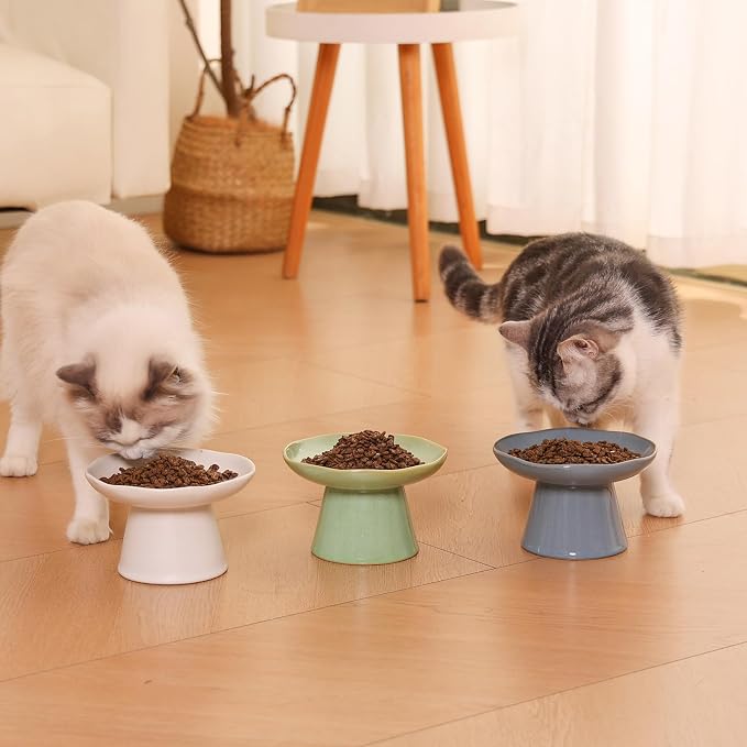 Wide Shallow 6.1" Raised Cat Bowls, Ceramic Elevated Food Bowl for Flat Faced Cats and Small Dogs, Porcelain Feeder Bowl, Stress Free, Protect Cat’s Spine, Green - Image 7